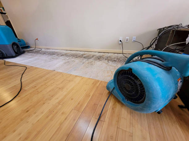Professional Water Removal technician working in Harwich, MA